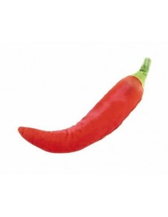 ferrib gioco peperoncino...