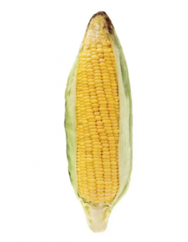 ferrib gioco pannocchia matatabi tp1023/1