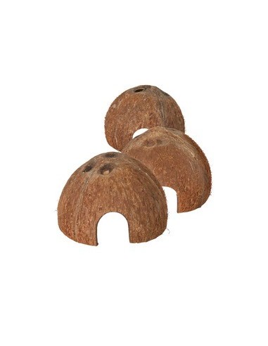 trixie rettili gusci