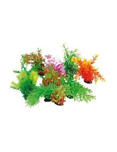 wave deco tropical p