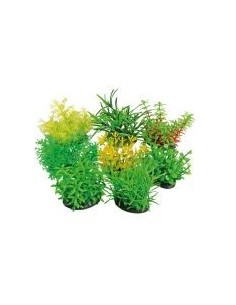 wave decotropical pl