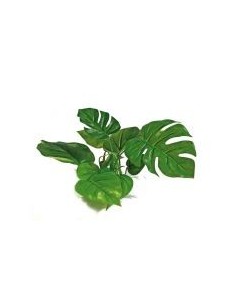 wave plant replica a