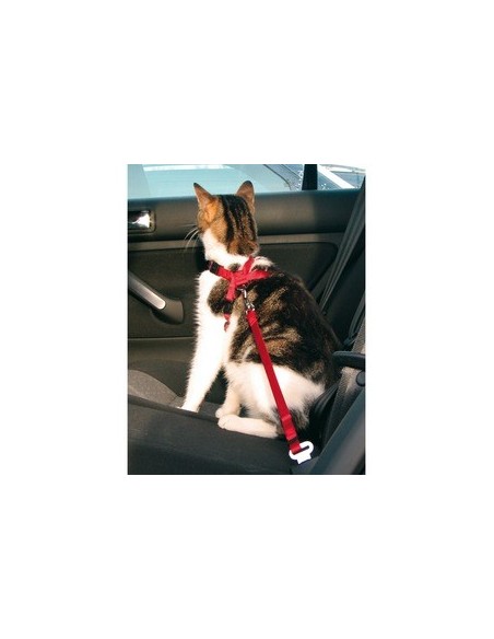 trixie cintura gatti