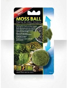 exo terra  moss ball