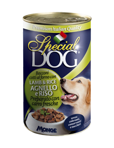 special dog cani boc
