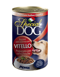 special dog cani boc