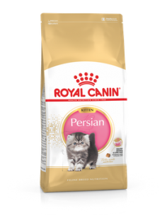 royal cat kitten persian...