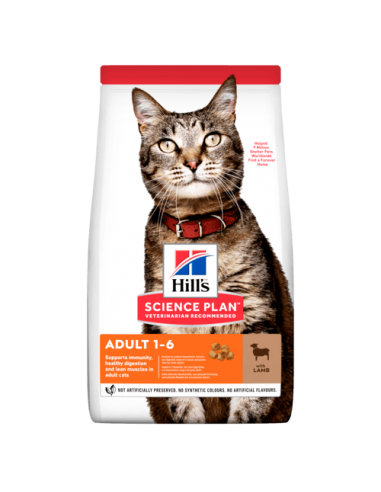 hills cat 300gr ad agnello 604065
