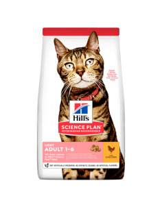 hills cat 1,5kg light 604080