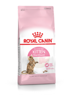 royal cat kitten sterilised...