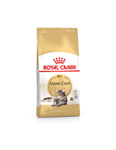 royal cat maine coon 4kg fbn2049