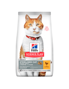 hills cat 300gr young...