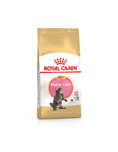 royal cat kitten maine coon 400gr...