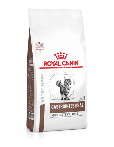 royal cat diet dry gastro intestinal...