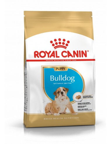 royal dog r.bulldog inglese puppy 3kg...
