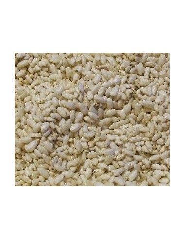 riso soffiato per ca