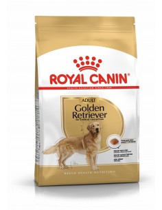 royal dog r.golden...