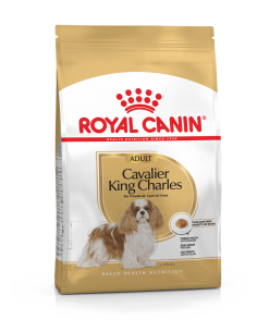 royal dog r.cavalier king...