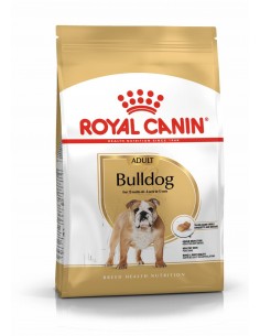 royal dog r.bulldog inglese...