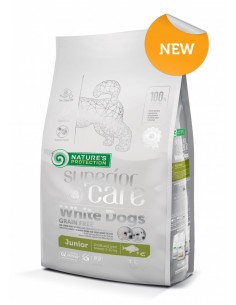 np sc white dogs junior...