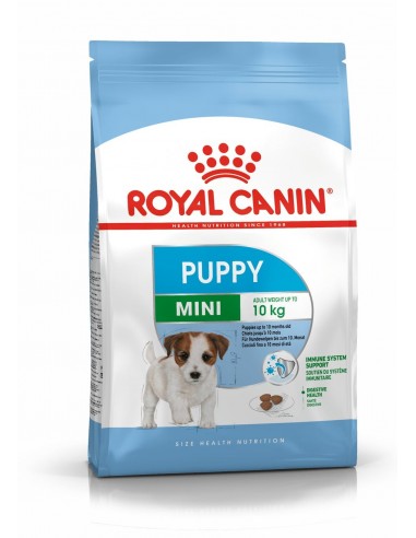 royal dog mini puppy 8kg shn1371