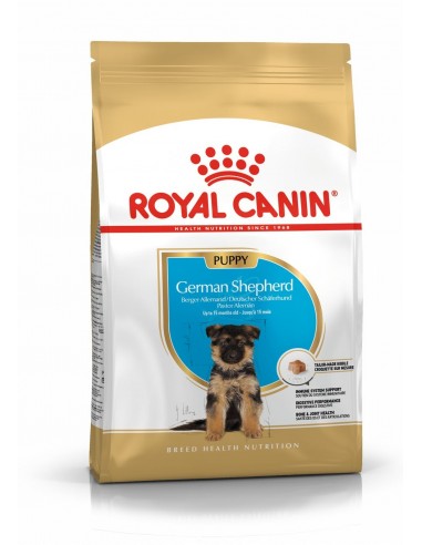 royal dog r.pastore tedesco puppy 3kg...