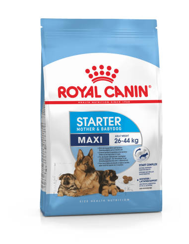 royal dog maxi starter mother&babydog...