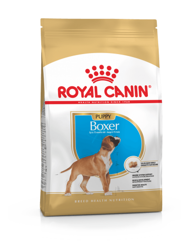 royal dog r.boxer puppy 3kg bhn1566