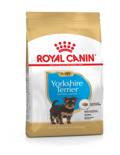 royal dog r.yorkshire puppy...