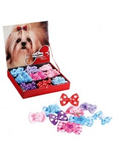 camon fiocchi cani c