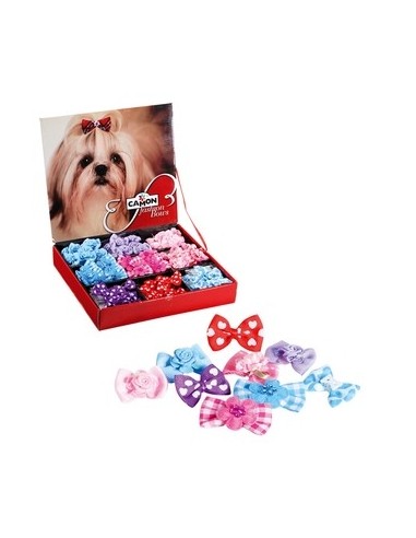 camon fiocchi cani c