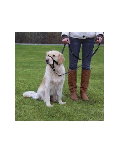 trixie museruola can