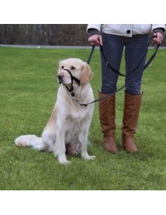 trixie museruola can