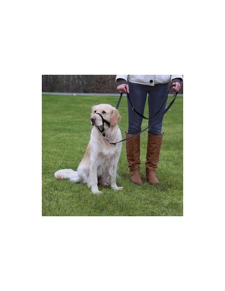 trixie museruola can