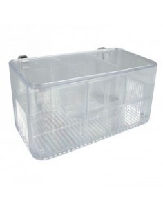 zolux sala parto multi-plus 20x20 r.377135