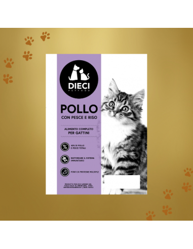 dieci cat 2kg superpremium kitten...