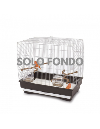 IMAC 34791 BIRD FONDO PER GABBIA...