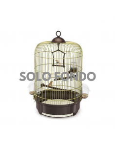 IMAC 31291 BIRD FONDO PER...