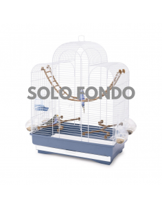 imac 31995 bird fondo per gabbia camilla/sofia/elisa/fiona/irene 3 blu