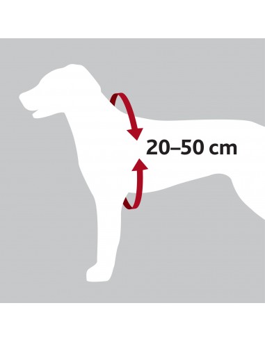 tx1288 dog cintura di sicurezza per...