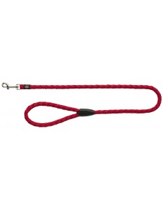 tx143403 dog guinzaglio...