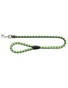 tx143419 dog guinzaglio...