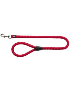 tx144203 dog guinzaglio...