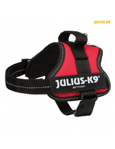 tx150203 pettorina julius...