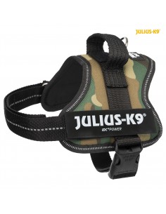 tx150221 pettorina julius...