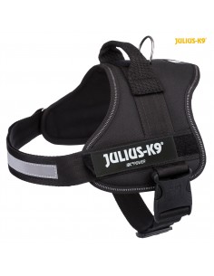 tx150301 pettorina julius...