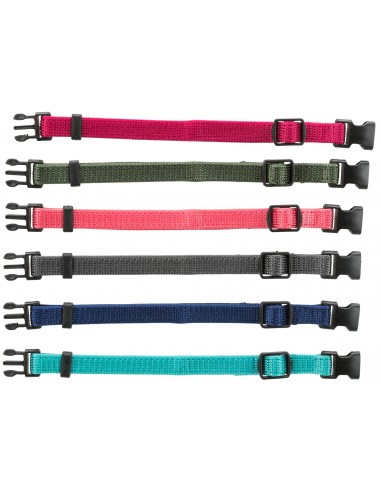 tx15552 collare dog per cuccioli s-m 17-25cm 10mm set 6 pezzi ro/az/ gr/be/ar/ma