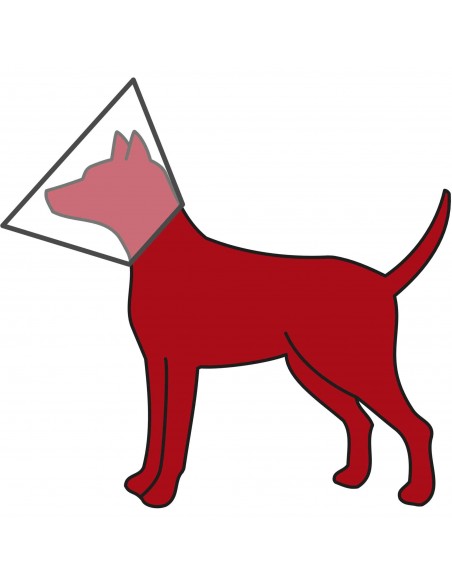 tx19516 dog collare elisabetta con velcro l-xl 28cm