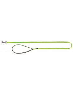 tx200317 dog guinzaglio...