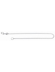 tx21961 dog guinzaglio a...